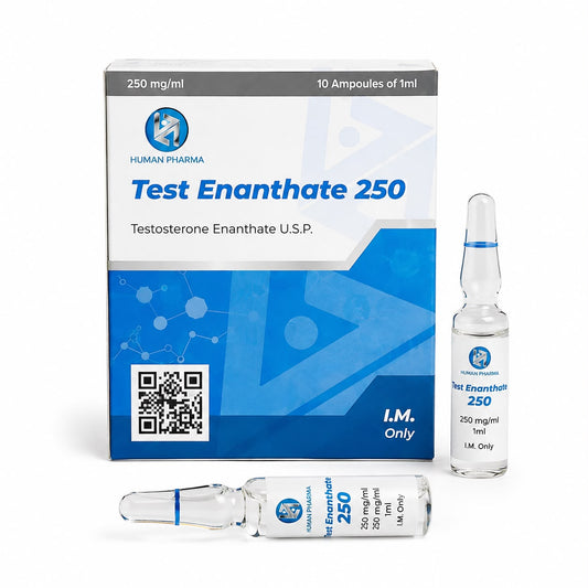 TEST E HUMAN